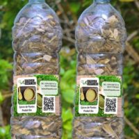 Cancer Colorectal Remède naturel Cancer du Colon