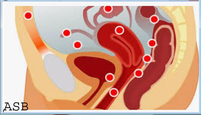 Aménorrhée formes causes traitement