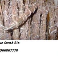 Gongoli pour tomber enceinte