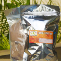 Traitement Épilepsie Maladie Convulsive :