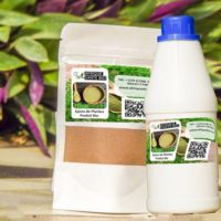 Recette Naturel pour Vaincre Les Fibromes Solution Naturelle