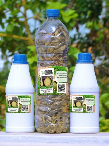 Cancer: Définition Manifestations Types et Traitement