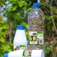 Cancer Du Côlon Traitement Naturel Par Les Plantes. Traitement naturel pour soigner définitivement le cancer de Côlon.