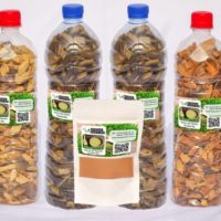 Remède naturel Cancer prostate