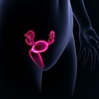 Tisane naturelle soigner l'annexite