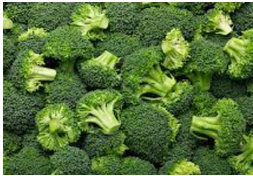 Comment Soigner une Myasthénie? Traitement Naturel de la Myasthénie