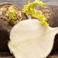 Cytomégalovirus Traitement Naturel Cytomégalovirus