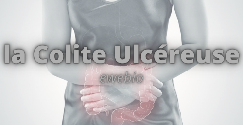 Qu’est-ce que la colite ulcéreuse?