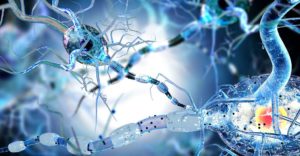 Les Sympômes de La Sclérose en Plaques