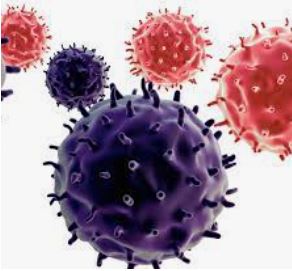 Myélome Multiple Définition Traitement Naturel Myélome Multiple