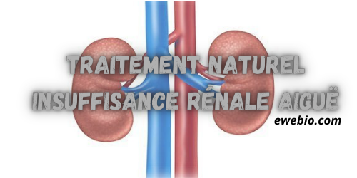 Traitement Naturel Insuffisance Rénale