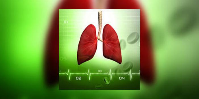 Traitement Par les Plantes: Méthode Africaines